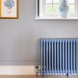 Top view of pigeon blue multi-column radiator